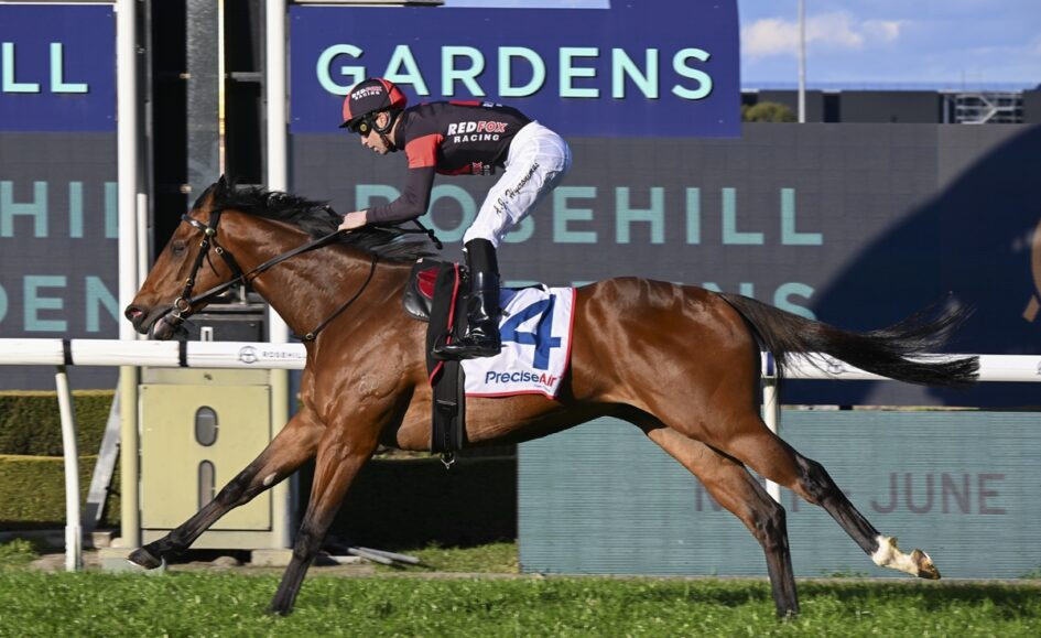Jockey in red and black silks riding a brown racehorse at full gallop on a track, saddlecloth number 4 visible.