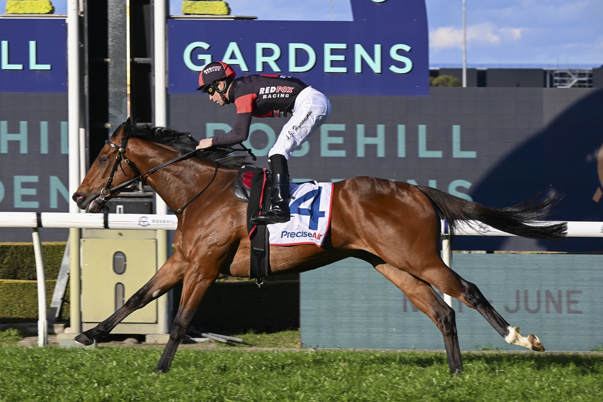 Jockey in red and black silks riding a brown racehorse at full gallop on a track, saddlecloth number 4 visible.