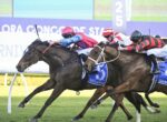 Three jockeys in colorful silks ride racehorses neck-and-neck on a sunny turf track with a blue number 5 saddle cloth and white rail nearby.