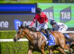 Jockey in red silks riding a brown horse leading a horse race on a sunny track with green hedges and a large TAB banner in the background (saddlecloth reads Darley).