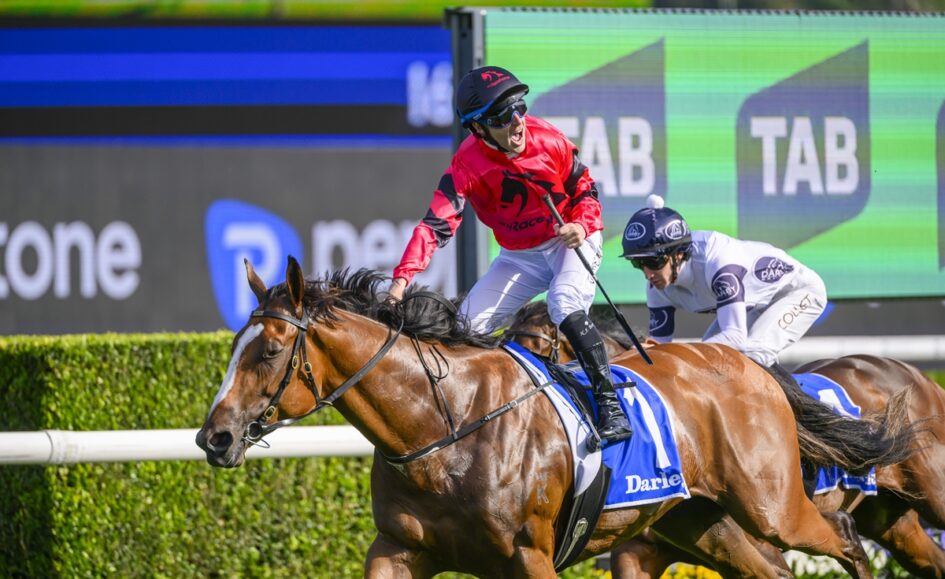 Jockey in red silks riding a brown horse leading a horse race on a sunny track with green hedges and a large TAB banner in the background (saddlecloth reads Darley).