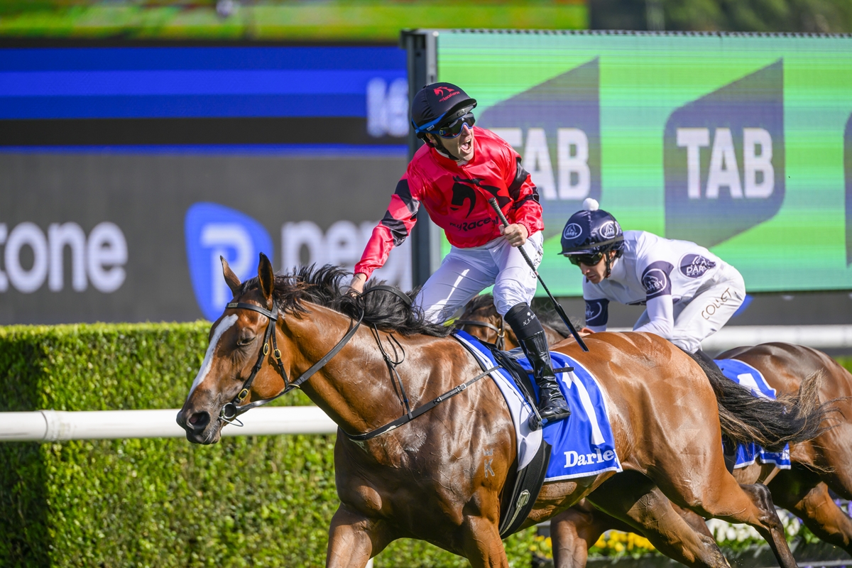 Jockey in red silks riding a brown horse leading a horse race on a sunny track with green hedges and a large TAB banner in the background (saddlecloth reads Darley).