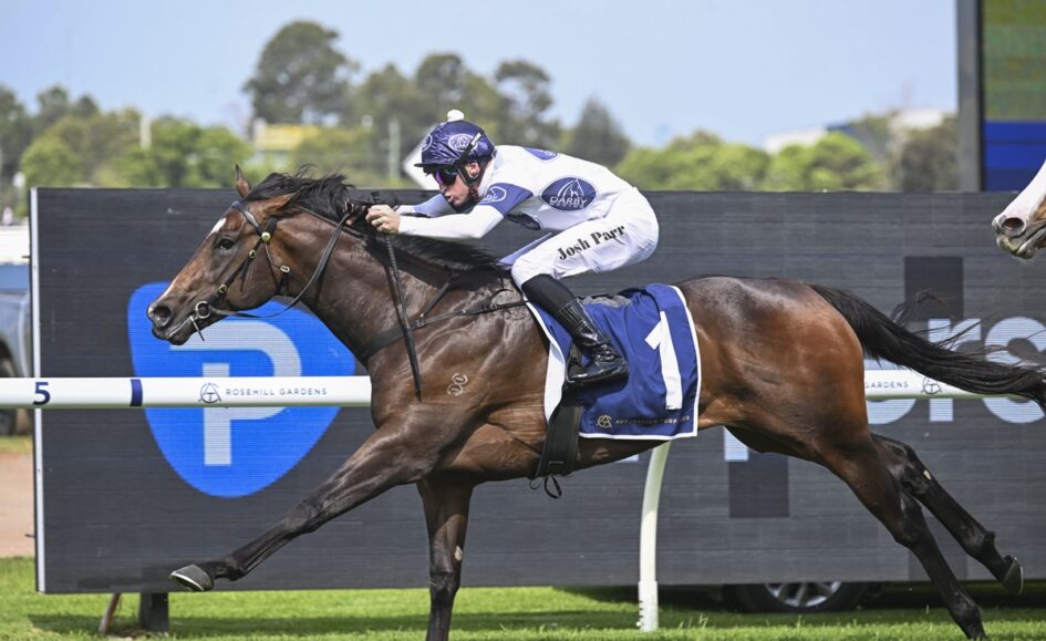 Jockey in white and blue silks rides a dark bay horse at a fast gallop during a race.