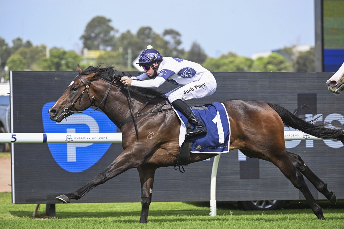 Jockey in white and blue silks rides a dark bay horse at a fast gallop during a race.