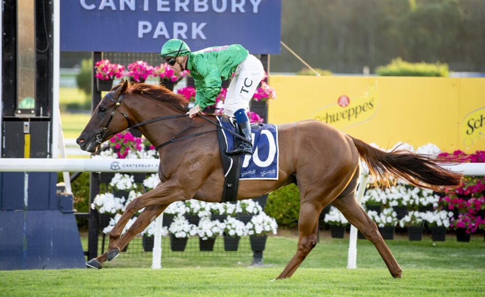 Chestnut racehorse with blue saddlecloth number 10, jockey in green silks, galloping at Canterbury Park.