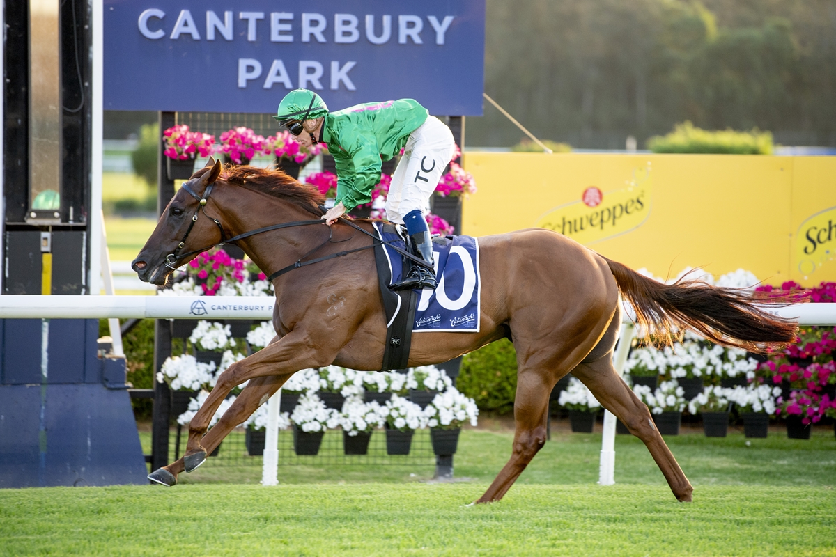 Chestnut racehorse with blue saddlecloth number 10, jockey in green silks, galloping at Canterbury Park.