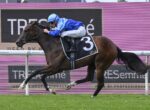 Jockey in blue silks riding a dark brown horse with number 3 on a racecourse fence backdrop.