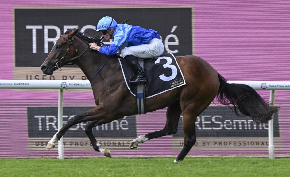 Jockey in blue silks riding a dark brown horse with number 3 on a racecourse fence backdrop.