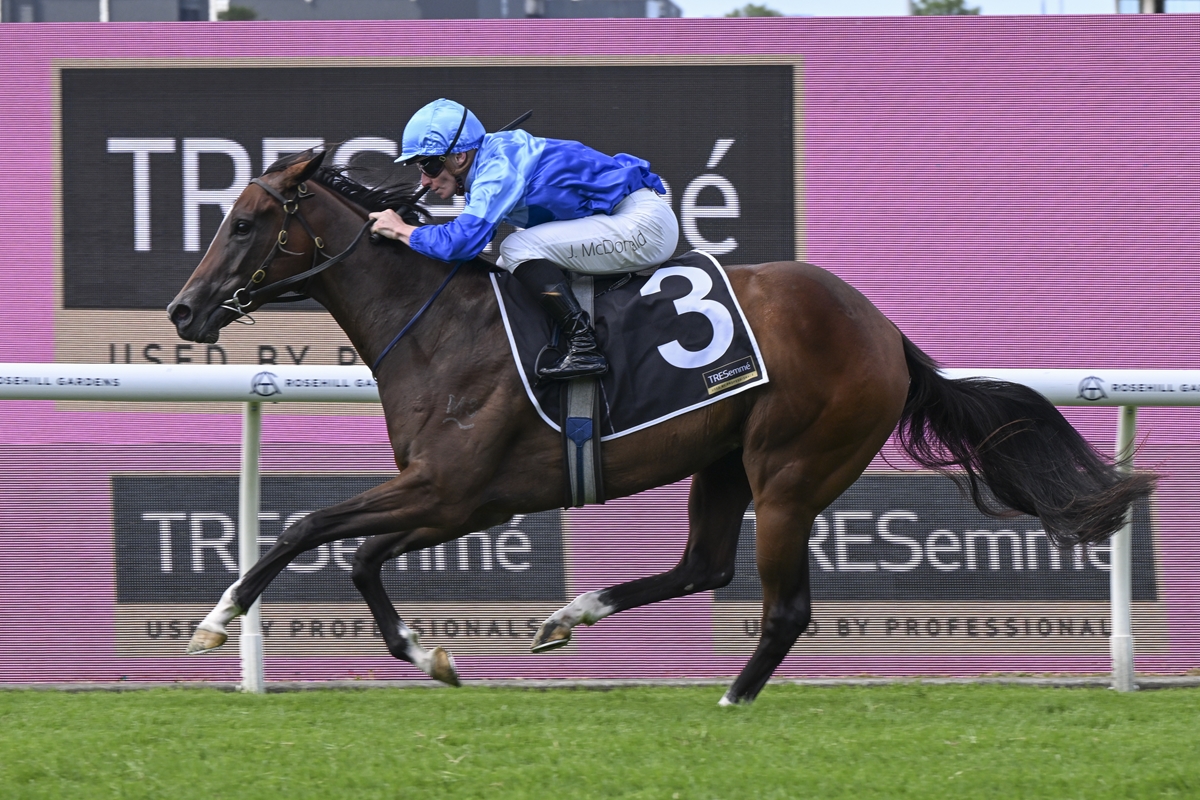 Jockey in blue silks riding a dark brown horse with number 3 on a racecourse fence backdrop.