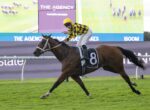 Jockey in a yellow-and-black checkered silks rides a dark brown horse with the number 8 during a turf race on a green track, with advertising banners in the background.