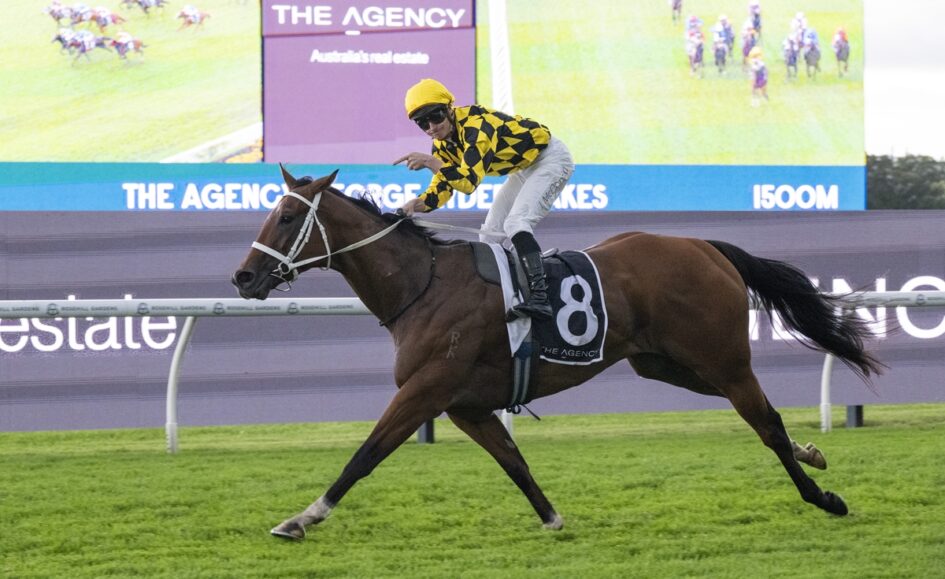 Jockey in a yellow-and-black checkered silks rides a dark brown horse with the number 8 during a turf race on a green track, with advertising banners in the background.