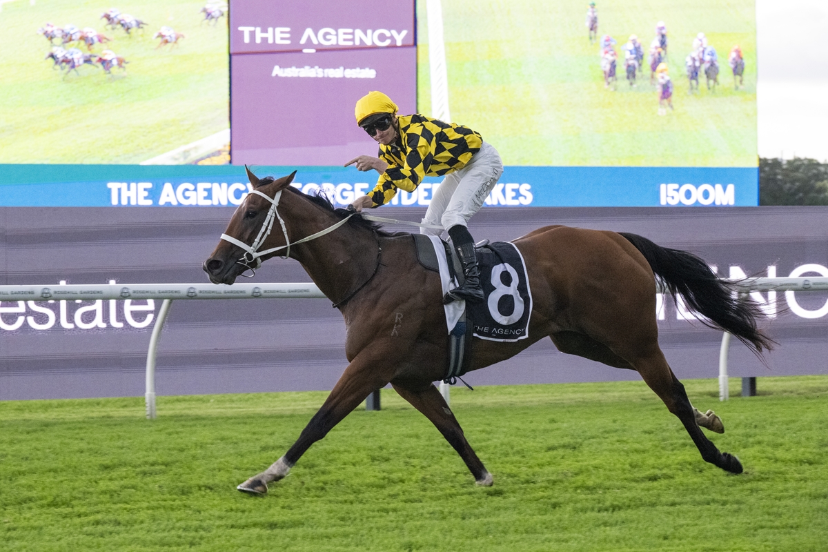 Jockey in a yellow-and-black checkered silks rides a dark brown horse with the number 8 during a turf race on a green track, with advertising banners in the background.
