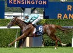 Jockey in turquoise silks rides a brown Thoroughbred during a Kensington race, number 6 visible on the saddle cloth, galloping on the turf.