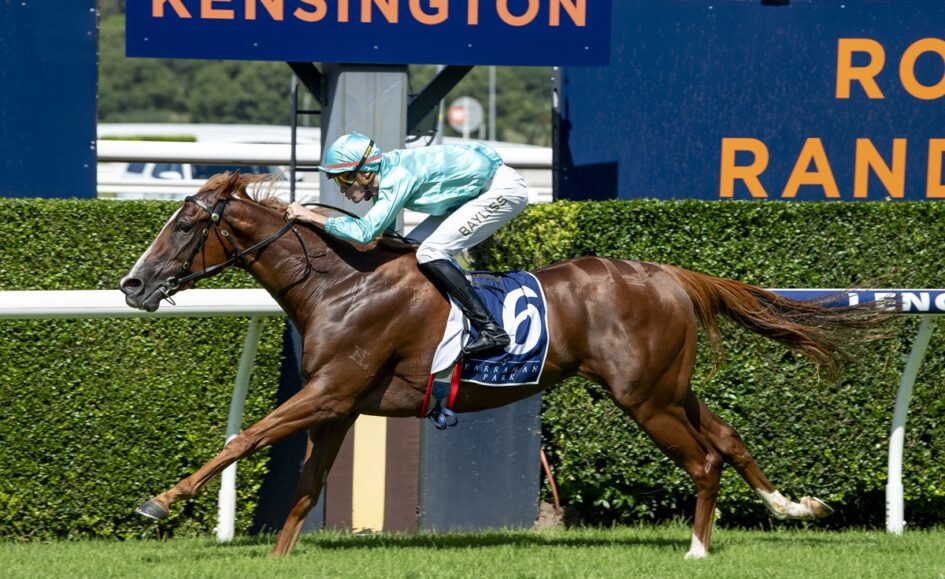 Jockey in turquoise silks rides a brown Thoroughbred during a Kensington race, number 6 visible on the saddle cloth, galloping on the turf.
