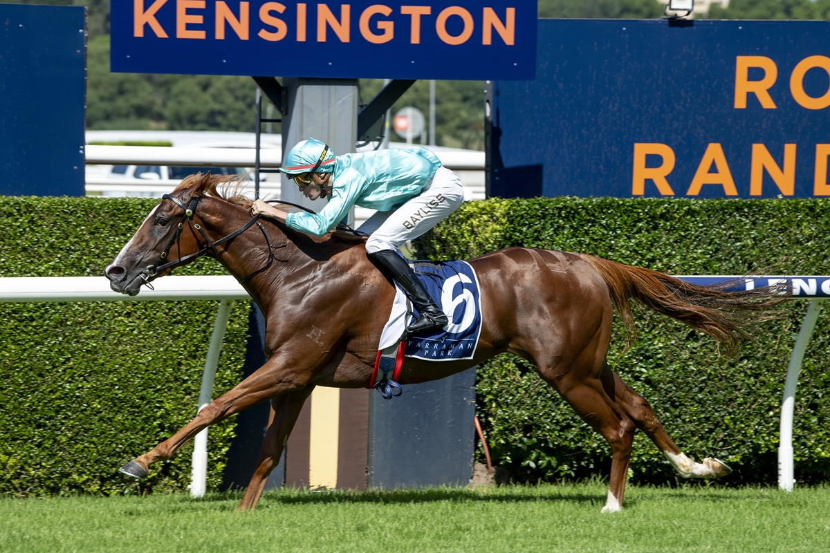 Jockey in turquoise silks rides a brown Thoroughbred during a Kensington race, number 6 visible on the saddle cloth, galloping on the turf.
