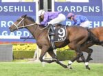 Two jockeys ride a brown racehorse with number 9 on the turf at Rosehill Gardens, chasing the lead along the track.