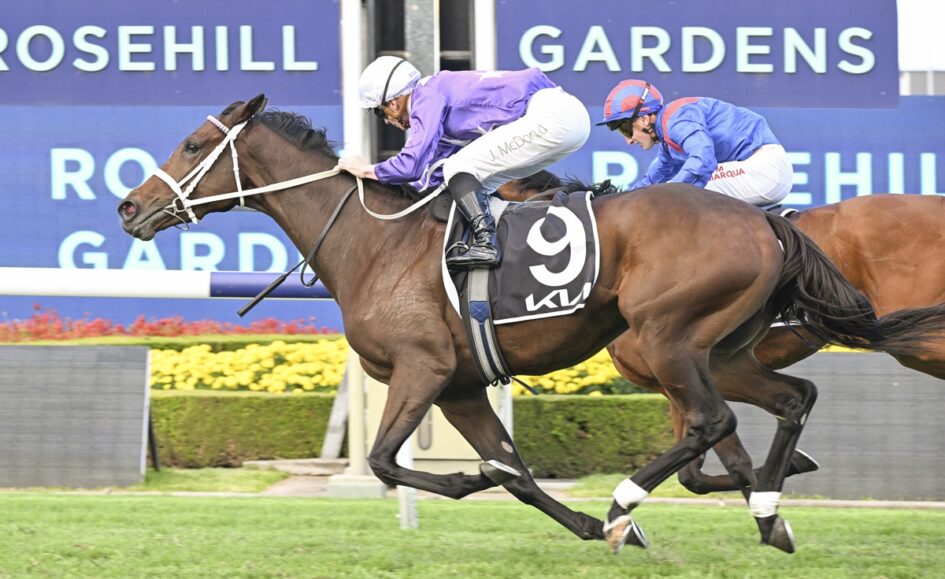 Two jockeys ride a brown racehorse with number 9 on the turf at Rosehill Gardens, chasing the lead along the track.