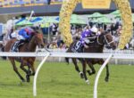 Two racehorses sprint toward the finish line with jockeys leaning forward; crowd and a floral arch in the background at a racing event.