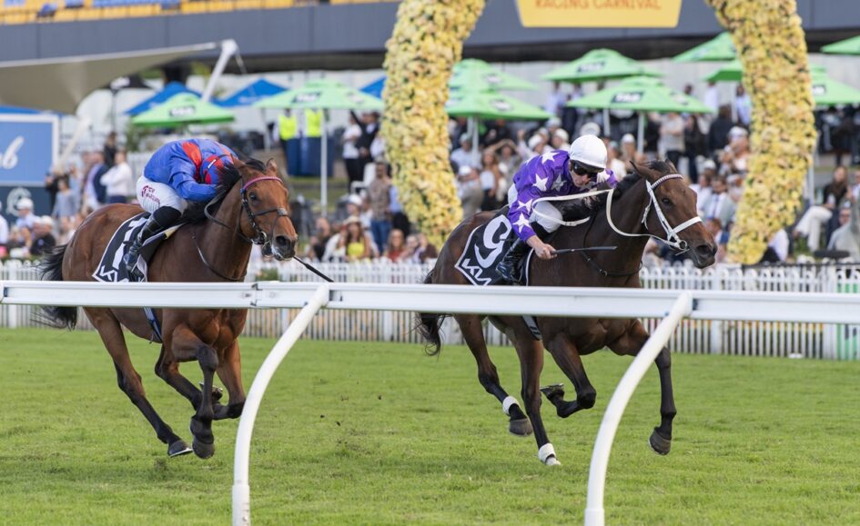Two racehorses sprint toward the finish line with jockeys leaning forward; crowd and a floral arch in the background at a racing event.