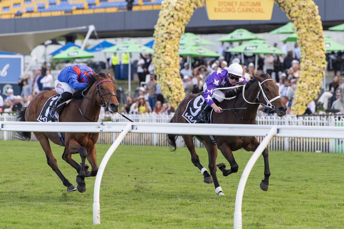 Two racehorses sprint toward the finish line with jockeys leaning forward; crowd and a floral arch in the background at a racing event.