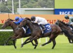 Three thoroughbreds sprint neck-and-neck on a green turf as jockeys crouch low in colorful silks.