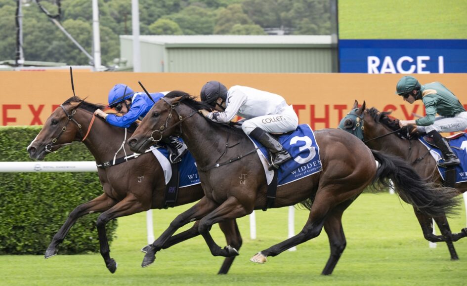 Three thoroughbreds sprint neck-and-neck on a green turf as jockeys crouch low in colorful silks.