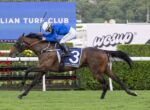 Jockey in blue silks on a brown racehorse wearing number 3, sprinting on a turf track with sponsor banners in the background.