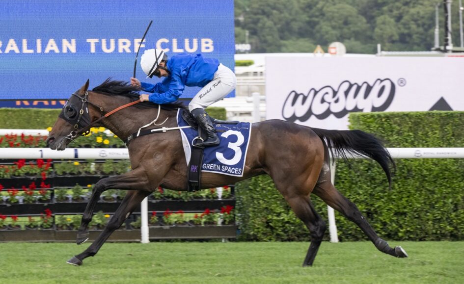 Jockey in blue silks on a brown racehorse wearing number 3, sprinting on a turf track with sponsor banners in the background.