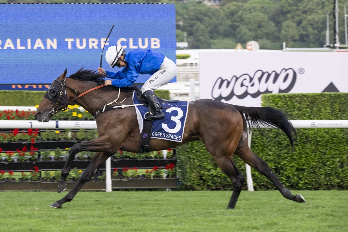 Jockey in blue silks on a brown racehorse wearing number 3, sprinting on a turf track with sponsor banners in the background.