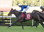 Horse race in progress: jockey in blue and white leans forward on dark horse with red saddle cloth #8, near a fence and another rider behind.