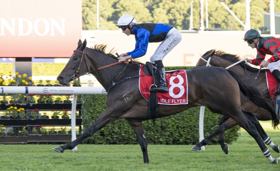 Horse race in progress: jockey in blue and white leans forward on dark horse with red saddle cloth #8, near a fence and another rider behind.