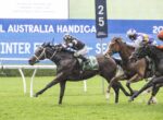 A horse race on a green turf with a dark bay horse leading, jockey in black-and-white silks, close behind are other runners and a blue advertising banner in the background.