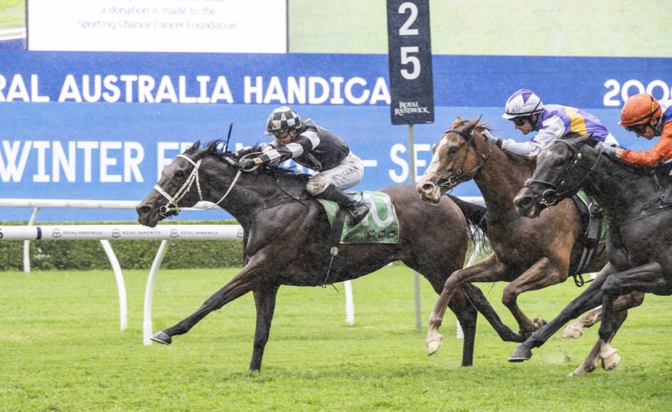 A horse race on a green turf with a dark bay horse leading, jockey in black-and-white silks, close behind are other runners and a blue advertising banner in the background.
