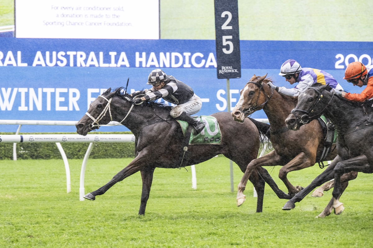 A horse race on a green turf with a dark bay horse leading, jockey in black-and-white silks, close behind are other runners and a blue advertising banner in the background.