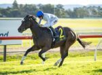 Jockey in a blue helmet rides a galloping dark brown horse with a yellow number 2 cloth on a racetrack under a sunny sky.