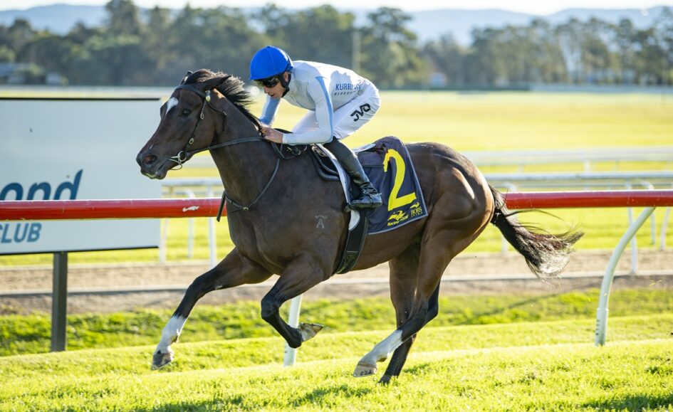 Jockey in a blue helmet rides a galloping dark brown horse with a yellow number 2 cloth on a racetrack under a sunny sky.