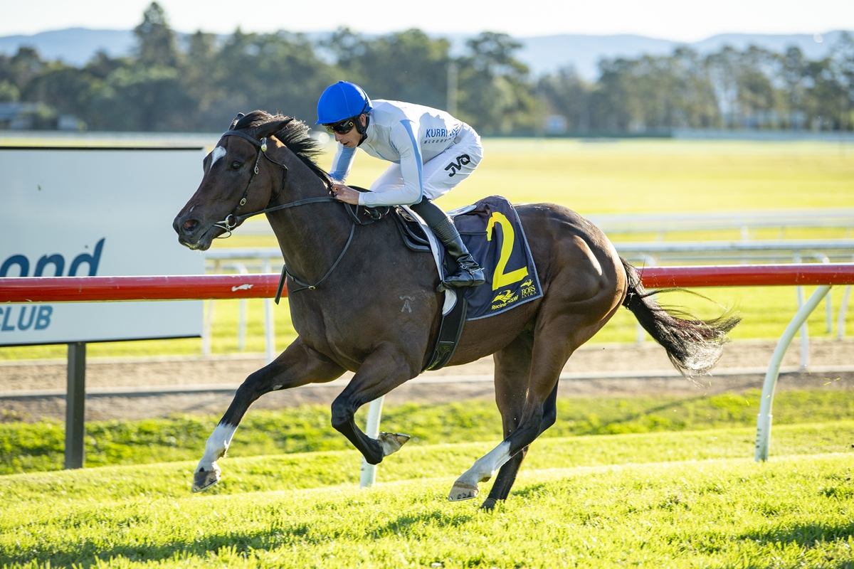 Jockey in a blue helmet rides a galloping dark brown horse with a yellow number 2 cloth on a racetrack under a sunny sky.