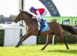 A jockey in a purple helmet and red vest rides a galloping brown horse on a grassy racecourse, with a blue numbered saddle cloth visible.