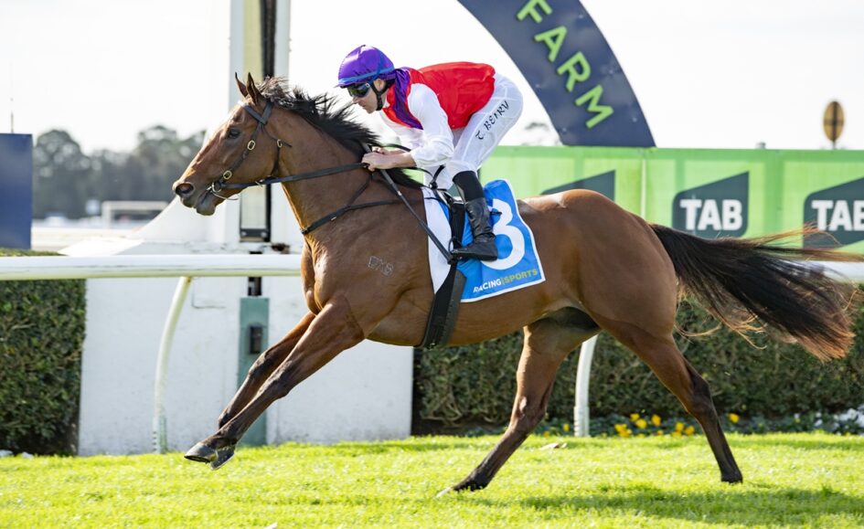 A jockey in a purple helmet and red vest rides a galloping brown horse on a grassy racecourse, with a blue numbered saddle cloth visible.