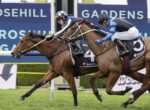 Two jockeys race two brown horses side by side on a grassy track, blue sponsor signs in the background.