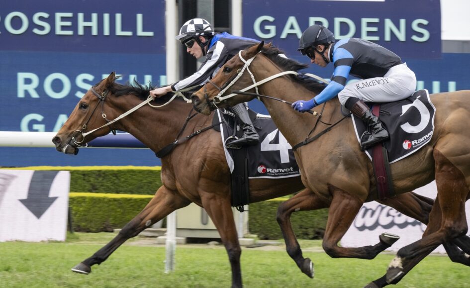 Two jockeys race two brown horses side by side on a grassy track, blue sponsor signs in the background.