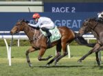 Horse race in progress: two thoroughbreds gallop side by side on a sunny turf track, leading rider wearing white silks and red helmet on the left and a rider in white and green on the right, with 'RACE 2' signage in the background.