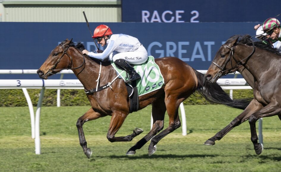 Horse race in progress: two thoroughbreds gallop side by side on a sunny turf track, leading rider wearing white silks and red helmet on the left and a rider in white and green on the right, with 'RACE 2' signage in the background.