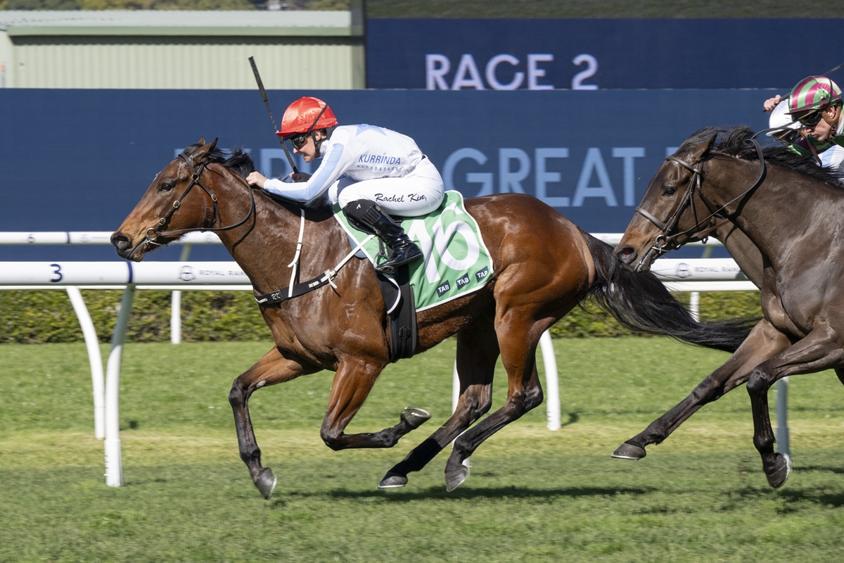Horse race in progress: two thoroughbreds gallop side by side on a sunny turf track, leading rider wearing white silks and red helmet on the left and a rider in white and green on the right, with 'RACE 2' signage in the background.