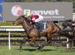 Racehorse with number 7 saddlecloth, jockey in yellow helmet and maroon silks leads a sprint on the turf as another horse pursues behind.
