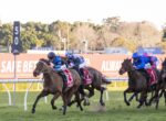 Horse race in progress with jockeys in colorful silks sprinting on a grassy track.