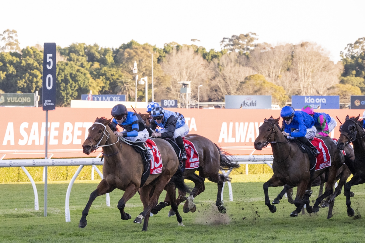 Horse race in progress with jockeys in colorful silks sprinting on a grassy track.