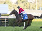 Jockey in red riding gear rides a dark brown racehorse with a blue number 2 saddle cloth on a turf track.