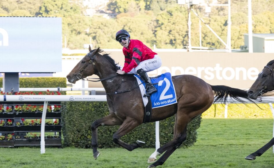 Jockey in red riding gear rides a dark brown racehorse with a blue number 2 saddle cloth on a turf track.