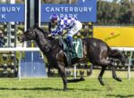 Jockey in purple-and-white checkered silks rides a dark bay horse during a Canterbury Park race, green saddle cloth numbered 7, with blue signage in the background.